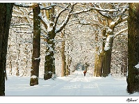 20101225_0033 1